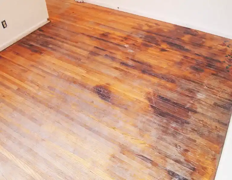 Interior flooring after polishing service